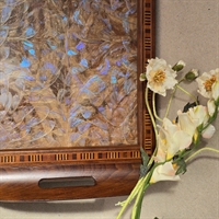brune-lilla-sommerfuglevinger-under-glas-i-traebakke-med-intarsiakant-gammel-brasiliansk
